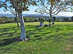 Visit Kate Sessions Park, San Diego, California