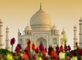 Viator Exclusive: Private Taj Mahal & Agra Fort Tour, Dine with a View