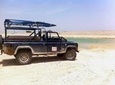 Desert Safari and Dead Sea Day Trip from Tel Aviv