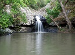 Explore Kondalilla National Park, Queensland, Australia
