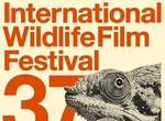 Attend International Wildlife Film Festival, Missoula, Montana