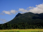 Summit Mount Bartle Frere, Wooroonooran National Park, Queensland, Australia