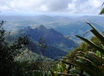 Explore Wollumbin National Park (Mount Warning), NSW, Australia (UNESCO site)