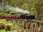 Ride Puffing Billy Railway, Dandenong Ranges, Australia