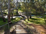 Explore Torrens Linear Park, South Australia