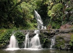 See Elabana Falls, Queensland, Australia