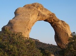 See Cox Canyon Arch, New Mexico