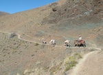 Hike Qhapaq Ñan (Andean Road System), South America (UNESCO Site)