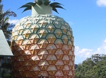 See The Big Pineapple in Nambour, Queensland, Australia