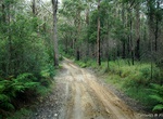 Off-road Mount Mee Forest Road, Queensland, Australia