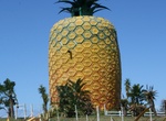 See The Big Pineapple in Bathurst, South Africa