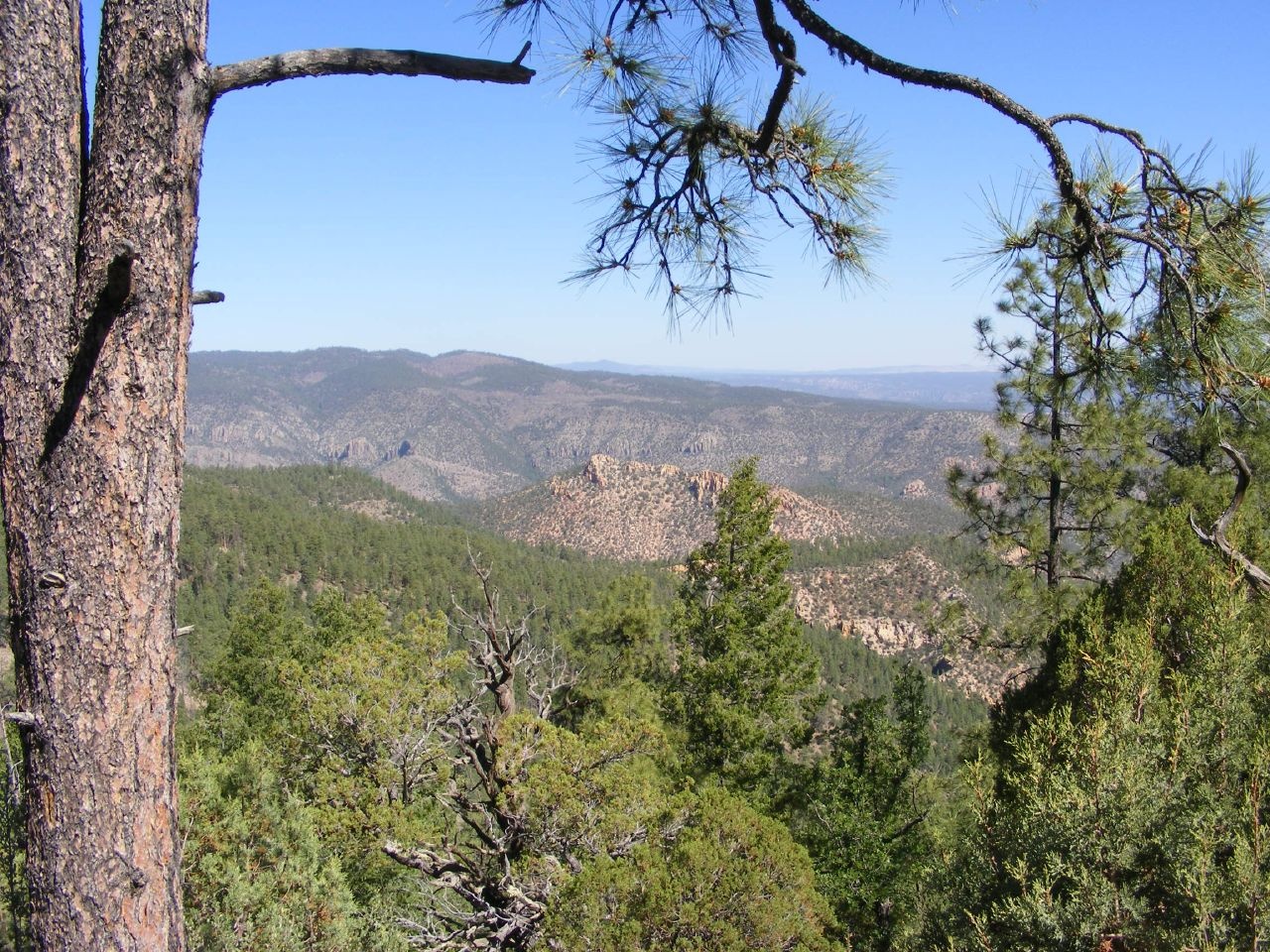 Gila Wilderness