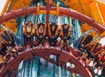 Ride Falcon's Fury, Busch Gardens Tampa, Florida