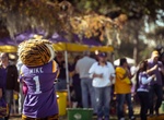 Tailgate a LSU Tigers Game