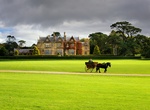 Visit Muckross House, Ireland