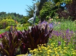 Visit Mendocino Coast Botanical Gardens, Fort Bragg, California