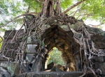 Visit Beng Mealea, Angkor Wat, Cambodia 