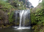 Walk Oakley Creek Walkway to Oakley Creek Falls, Waterview, New Zealand