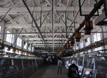 Visit Tomioka Silk Mill, Gunma prefecture, Japan (UNESCO Site)