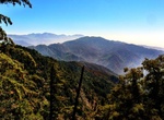 Hike Mount Wilson, San Gabriel Mountains, California