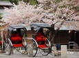 Private Custom Tour: Kyoto in One Day