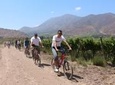 EXCLUSIVE!! Maipo Valley and Santa Rita Wine Tour by Bicycle with Tastings
