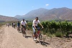 EXCLUSIVE!! Maipo Valley and Santa Rita Wine Tour by Bicycle with Tastings