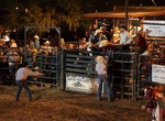 Watch A Rodeo at Buffalo Chip Saloon and Steakhouse, Cave Creek, Arizona