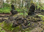 Visit Lava Tree State Monument, Big Island, Hawaii