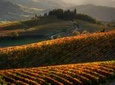 Tuscany Hiking Tour from Siena Including Wine Tasting