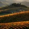 Tuscany Hiking Tour from Siena Including Wine Tasting
