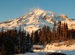 Mt. Rainier Day Trip from Seattle