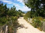 Explore Cape Henlopen State Park, Delaware