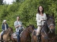 Horseback Riding Adventure from Medellín