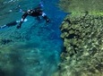 Snorkelling in Silfra Small-Group Adventure from Reykjavik