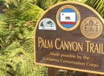 Visit Palm Canyon, Balboa Park, San Diego, California