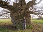 See Bowthorpe Oak, Bourne, England