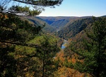 Explore Pine Creek Gorge (The Grand Canyon of Pennsylvania), Pennsylvania