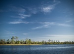 Explore Suwannee River State Park, Florida
