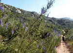 Hike El Cajon Mountain Trail, Lakeside, California