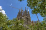 Priority Access: Barcelona Sagrada Familia Tour with Tower Entry