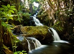 See Onomea Falls (Hawaii Tropical Botanical Garden), Big Island. Hawaii