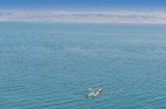 Private Tour: Highlights of Israel Day Trip from Tel Aviv, Including Old Jerusalem, Western Wall, and the Dead Sea