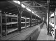 Auschwitz-Birkenau Tour from Krakow with Private Round-Trip Transfer