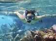 Cozumel Snorkeling Tour: Palancar, Columbia and Cielo Reefs