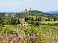 Small Group Tuscany Wine Country Day Trip from Rome with Lunch