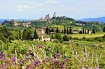 Small Group Tuscany Wine Country Day Trip from Rome with Lunch