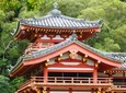 Uji Walking Tour - Byodo-in temple,Nakanoshima Park, Tea Ceremony from Kyoto