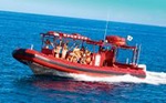 Maui Whale-Watching Tour by Raft from Kihei