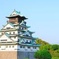 Walking Tour : Osaka Castle and River Cruise from Kyoto